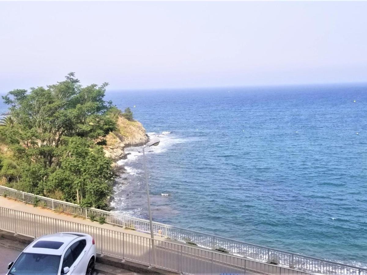 Appartement T3 A Banyuls, Climatise, Proche Plage - Fr-1-309-281 Exterior photo